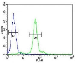 LOX antibody flow cytometric analysis of 293 cells (green) compared to a <a href=../tds/rabbit-igg-isotype-control-polyclonal-antibody-n1001>negative control</a> (blue). FITC-