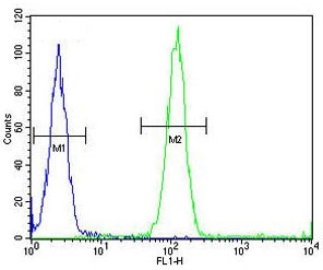 ACCN1 antibody flow cytometric analysis (intracellular) of human WiDr cells (right histogram) compared to a <a href=../search_result.php?search_txt=n1001>negative control</a> (left histogram). FITC-conjugated goat-anti-rabbit secondary Ab was used for the analysis.