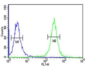 ACSM1 antibody intracellular flow cytometric analysis of human K562 cells (right histogram) compared to a <a href=../search_result.php?