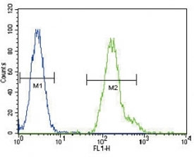 CEBPA antibody flow cytometric analysis of HeLa cells (green) compared to a <a href=../search_result.php?search_txt=n1001>negative control</a> (blue). FITC-conjugated goat-anti-rabbit secondary Ab was used for the analysis.~