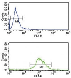 TAT antibody flow cytometry analysis of K562 cells (green) compared to a <a href=../search_result.php?search_txt=n1001>negative control</a> (blue). FITC-conjugated goat-anti-rabbit secondary Ab was used for the analysis.