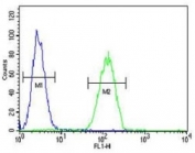 NEU1 antibody flow cytometric analysis of MDA-MB231 cells (green) compared to a <a href=../search_result.php?search_txt=n1001>negative control</a> (blue). FITC-conjugated goat-anti-rabbit secondary Ab was used for the analysis.