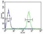 HDAC2 antibody flow cytometric analysis of K562 cells (right histogram) compared to a negative control (left histogram). FITC-conjugated goat-anti-rabbit secondary Ab was used for the analysis.