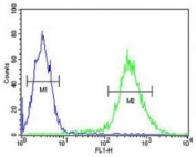 STING antibody flow cytometric analysis of Jurkat cells (green) compared to a <a href=../search_result.php?search_txt=n1001>negative control</a> (blue). FITC-conjugated goat-anti-rabbit secondary Ab was used for the analysis.