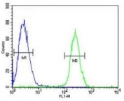 RNF8 antibody flow cytometric analysis of Jurkat cells (green) compared to a negative control (blue). FITC-conjugated goat-anti-rabbit secondary Ab was used for the analysis.