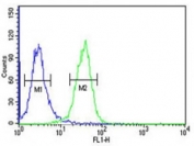 PGP antibody flow cytometric analysis of K562 cells (green) compared to a <a href=../tds/rabbit-igg-isotype-control-polyclonal-antibody-n1001>negative control</a> (blue). FITC-conjugated goat-anti-rabbit secondary Ab was used for the analysis.