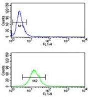 NEDD4 antibody flow cytometric analysis of NCI-H460 cells (green) compared to a negative control (blue). FITC-conjugated goat-anti-rabbit secondary Ab was used for the analysis.