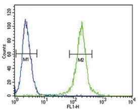 AMH antibody flow cytometric analysis of 293 cells (green) compared to a <a href=../search_result.php?search_txt=n1001>negative control</a> (blue). FITC-conjugated goat-anti-rabbit secondary Ab was used for the analysis.