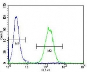 Vimentin antibody flow cytometric analysis of A549 cells (right histogram) compared to a negative control (left histogram).