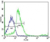 Src antibody flow cytometric analysis of MCF-7 cells (right histogram) compared to a negative control (left histogram). Alexa Fluor 488-conjugated donkey anti-rabbit lgG secondary Ab was used for the analysis.