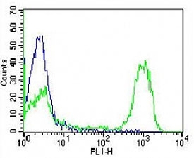 CD3 antibody flow cytometric analysis of PBMC (green histogram) compared to a negative control (blue histogram). Alexa Fluor 488-conjugated secondary Ab was used for the analysis.