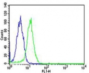 Flow cytometric analysis of human HeLa cells using SP1 antibody (green) and an isotype control of mouse IgG1 (blue); Ab was diluted at 1:25 dilution.