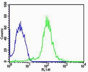 Flow cytometric analysis of MCF-7 cells using TUBA6 antibody (green) compared to an isotype control of