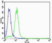 Flow cytometric analysis of K562 cells using vWF antibody (green) compared to an isotype control of mouse IgG1 (blue). Abs used at 1:100 dilution