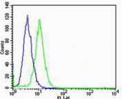 Flow cytometric analysis of HeLa cells using GLI2 antibody (green) compared to an <a href=../search_result.php?search_txt=n1001>isotype control of rabbit IgG</a> (blue). Ab diluted at 1:25 dilution. An Alexa Fluor 488 goat anti-rabbit lgG was used as the secondary Ab.