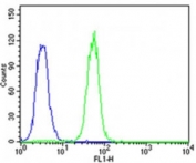 Flow cytometric analysis of K562 cells using CDK5 antibody (green) compared to an isotype control of rabbit IgG (blue); Ab was diluted at 1:25 dilution. An Alexa Fluor 488 goat anti-rabbit lgG was used as the secondary Ab.