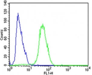 Flow cytometric analysis of SH-SY5Y cells using CDK5 antibody (green) compared to an <a href=../search_result.php?search_txt=n1001>isotype control of rabbit IgG</a> (blue); Ab was diluted at 1:25 dilution. An Alexa Fluor 488 goat anti-rabbit lgG was used as the secondary Ab.~