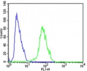 Flow cytometric analysis of SH-SY5Y cells using FGFR antibody (green) compared to an isotype control of rabbit IgG (blue); Ab was diluted at 1:25 dilution. An Alexa Fluor 488 goat anti-rabbit lgG was used as the secondary Ab.