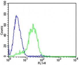 Flow cytometric analysis of HepG2 cells using DLK1 antibody (green) compared to an <a href=../search_result.php?search_txt=n1001>isotype control</a> (blue). Ab was diluted at 1:25 dilution.