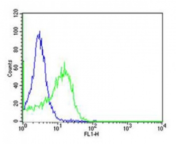 Flow cytometric analysis of HT-29 cells using anti-CD34 antibody (green) compared to an isotype control of rabbit IgG (blue). Ab was diluted at 1:25 dilution. An Alexa Fluor 488 goat anti-rabbit lgG was used as the secondary Ab.~