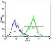 CD138 antibody flow cytometric analysis of U266 cells (right histogram) compared to a negative control (left histogram). Alexa Fluor 488-conjugated donkey anti-mouse lgG secondary Ab was used for the analysis