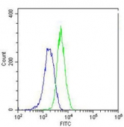 Intracellular staining of U2OS cells with RAB5C antibody (green) and <a href=../search_result.php?search_txt=n1001>isotype contorl</a> (blue) at 1:25 dilution.