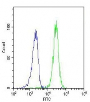 Intracellular FACS testing of human Raji cells with RASSF2 antibody (green) and <a href=../search_result.php?search_txt=n1001>isotype control</a> (blue) at 1:25.