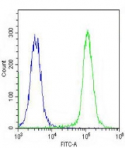 Flow cytometry testing of fixed and permeabilized human U-2 OS cells with TPRA1 antibody; Blue=isotype control, Green= TPRA1 antibody.