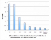 Observed NSE / Neuron Specific Enolase levels in CHO-K1 cell lysates transfected with NSE at different dilution. Pairing: <a href=../tds/neuron-specific-enolase-antibody-1g7-b4-f54038>1G7 (capture)</a> and 1H8 (detect).