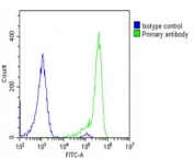 FACS testing of fixed and permeabilized human U-2 OS cells with TCIRG1 antibody at 1:25 dilution.