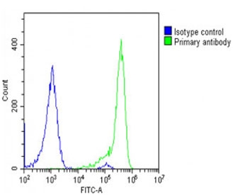 FACS testing of fixed and permeabilized human U-2 OS cells with TCIRG1 antibody at 1:25