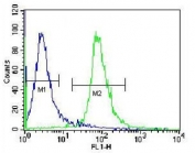 Flow cytometry testing of human Jurkat cells with RSBN1 antibody; Blue=isotype control, Green= RSBN1 antibody.