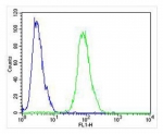 Flow cytometry testing of fixed and permeabilized human Jurkat cells with NOS2 antibody; Blue=isotype control, Green= NOS2 antibody.