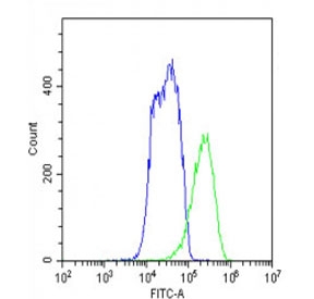 Flow cytometry testing of fixed and permeabilized human HepG2 cells with FADS2 antibody; Blue=isotype control, Green= FADS2 antibody.