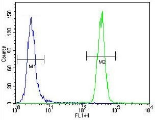 Flow cytometry testing of fixed and permeabilized human HeLa cells with HSPA5 antibody; Blue=isotype control, Green= HSPA5 antibody.