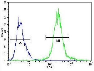 Flow cytometry testing of fixed and permeabilized human HepG2 cells with Septin 9 antibody; Blue=isotype control, Green= Septin 9 antibody.