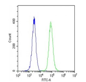 Flow cytometry testing of fixed and permeabilized human U-2 OS cells with RPS18 antibody; Blue=isotype control, Green= RPS18 antibody.