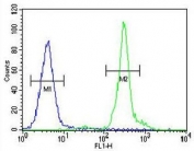 Flow cytometry testing human MDA-MB-435 cells with GFRAL antibody; Blue=isotype control, Green= GFRAL antibody.