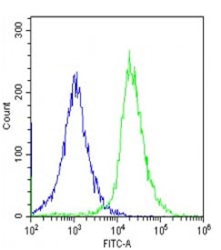 Flow cytometry testing of fixed and permeabilized human HepG2 cells with Cyclophilin D antibody; Blue=isotype control, Green= Cyclophilin D antibody.
