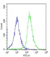 Flow cytometry testing of fixed and permeabilized human HepG2 cells with Cyclophilin D antibody; Blue=isotype control, Green= Cyclophilin D antibody.