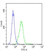 Flow cytometry testing of fixed and permeabilized mouse C2C12 cells with Vinculin antibody; Blue=isotype control, Green= Vinculin antibody.