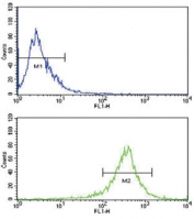 Flow cytometry testing of human WiDr cells with FGFR4 antibody; Blue=isotype control, Green= FGFR4 antibody.