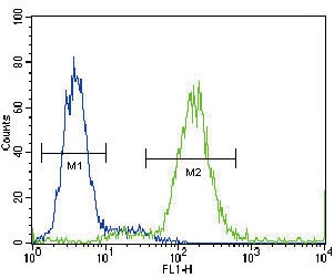 Flow cytometry testing of fixed and permeabilized human HepG2 cells with Angiotensin II Type 1 Receptor antibody; Blue=isotype control, Green= Angiotensin II Type 1 Receptor antibody.