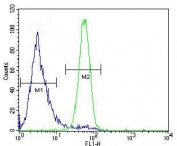 Flow cytometry testing of human A549 cells with Follistatin-like 1 antibody; Blue=isotype control, Green= Follistatin-like 1 antibody.