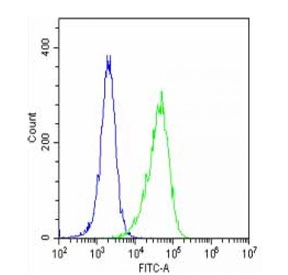 Flow cytometry testing of fixed and permeabilized human HeLa cells with Clusterin antibody; Blue=isotype control, Green= Clusterin antibody.