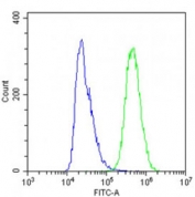 Flow cytometry testing of fixed and permeabilized human A431 cells with IFITM5 antibody; Blue=isotype control, Green= IFITM5 antibody.