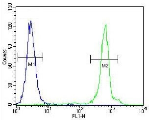 Flow cytometry testing of fixed and permeabilized human HeLa cells with UQCRFS1 antibody; Blue=isotype control, Green= UQCRFS1 antibody.