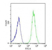 Flow cytometry testing of fixed and permeabilized human U-2 OS cells with DIEXF antibody; Blue=isotype control, Green= DIEXF antibody.