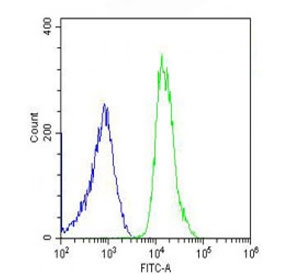 Flow cytometry testing of fixed and permeabilized human U-2 OS cells with PREX1 antibody; Blue=isotype control, Green= PREX1 antibody.