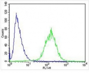 Flow cytometry testing of fixed and permeabilized human SH-SY5Y cells with STMN2 antibody; Blue=isotype control, Green= STMN2 antibody.